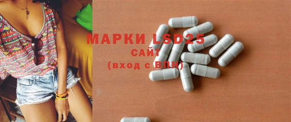 мдпв Ельня