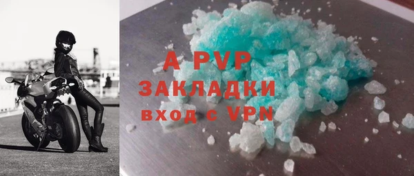 мдпв Ельня