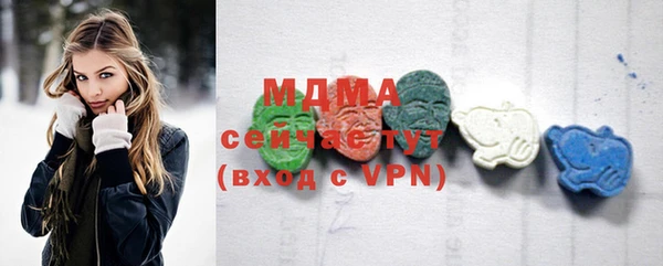 мдпв Ельня