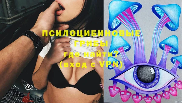 хмурый Елабуга