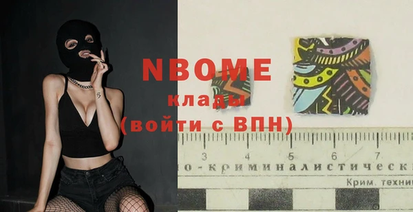 мдпв Ельня