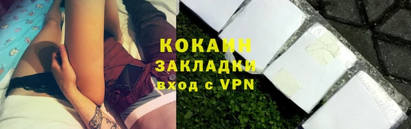 мдпв Ельня