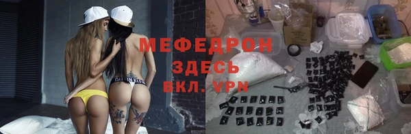 мдпв Ельня