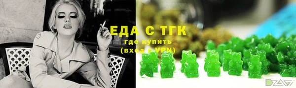 мдпв Ельня
