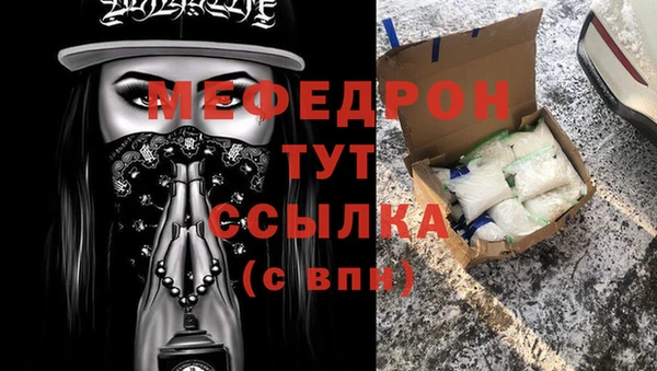 мдпв Ельня