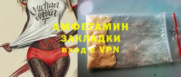 мдпв Ельня