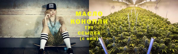 мдпв Ельня