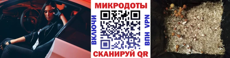 Купить  Бежецк  Псилоцибиновые грибы Magic Shrooms 